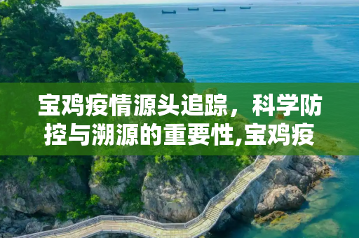 宝鸡疫情源头追踪，科学防控与溯源的重要性,宝鸡疫情源头