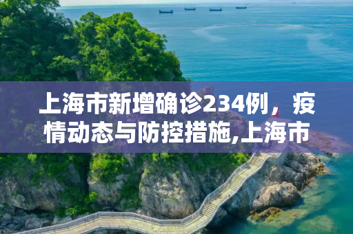上海市新增确诊234例，疫情动态与防控措施,上海市新增确诊234例