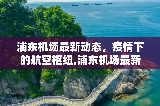 浦东机场最新动态，疫情下的航空枢纽,浦东机场最新动疫情