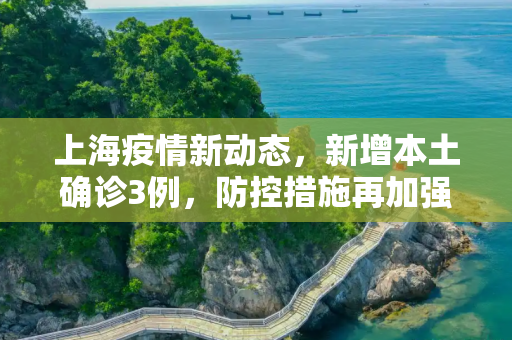 上海疫情新动态，新增本土确诊3例，防控措施再加强,包含上海新增本土确诊3例的词条