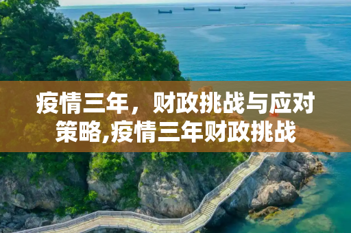 疫情三年，财政挑战与应对策略,疫情三年财政挑战