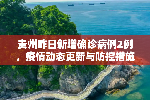 贵州昨日新增确诊病例2例，疫情动态更新与防控措施,贵州昨日新增确诊病例2例