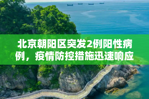 北京朝阳区突发2例阳性病例，疫情防控措施迅速响应,北京朝阳现2例阳性