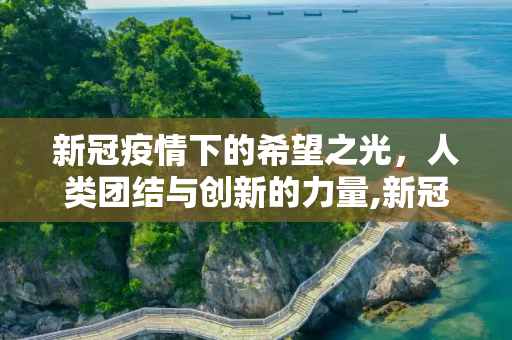 新冠疫情下的希望之光，人类团结与创新的力量,新冠疫情下的希望之光