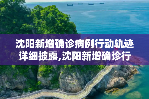 沈阳新增确诊病例行动轨迹详细披露,沈阳新增确诊行动轨迹