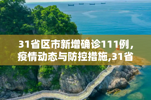 31省区市新增确诊111例，疫情动态与防控措施,31省区市新增确诊111例