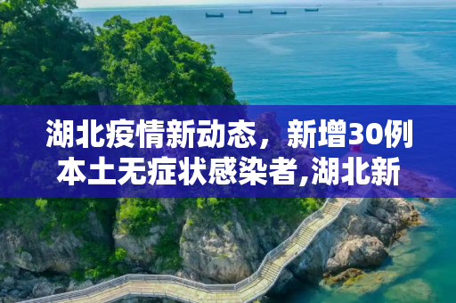 湖北疫情新动态，新增30例本土无症状感染者,湖北新增30例本土无症状