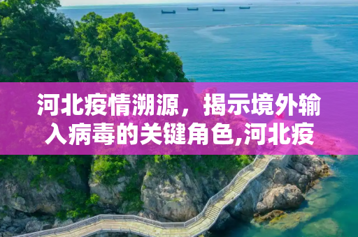 河北疫情溯源，揭示境外输入病毒的关键角色,河北疫情系境外输入病毒