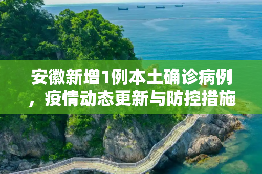 安徽新增1例本土确诊病例，疫情动态更新与防控措施,安徽新增1例本土确诊病例