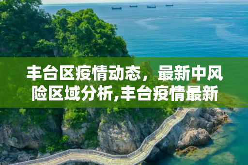 丰台区疫情动态，最新中风险区域分析,丰台疫情最新中风险