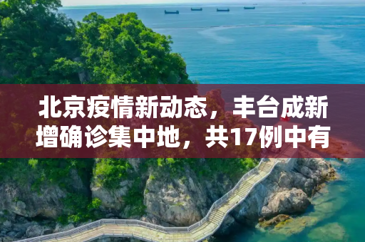 北京疫情新动态，丰台成新增确诊集中地，共17例中有15例,北京新增17例确诊中15例在丰台