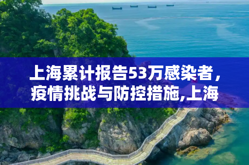 上海累计报告53万感染者，疫情挑战与防控措施,上海累计报告53万感染者