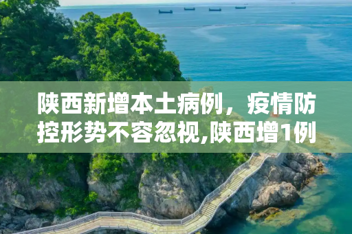 陕西新增本土病例，疫情防控形势不容忽视,陕西增1例本土病例