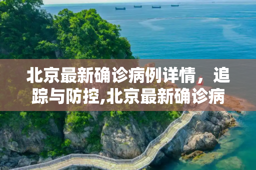 北京最新确诊病例详情，追踪与防控,北京最新确诊病例详情