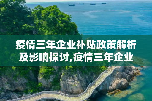 疫情三年企业补贴政策解析及影响探讨,疫情三年企业补贴政策解析及影响探讨