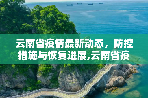 云南省疫情最新动态，防控措施与恢复进展,云南省疫情情况最新