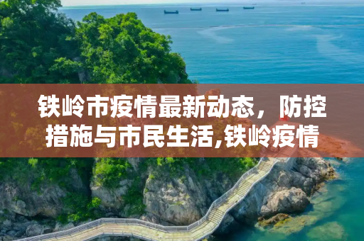 铁岭市疫情最新动态，防控措施与市民生活,铁岭疫情最新情况