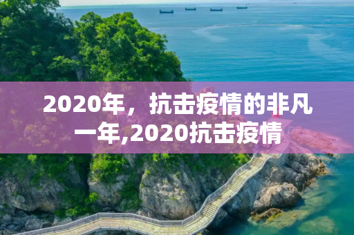 2020年，抗击疫情的非凡一年,2020抗击疫情