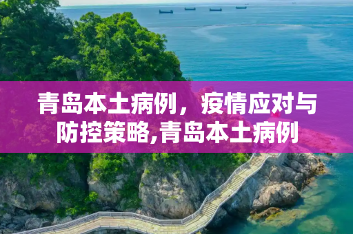 青岛本土病例，疫情应对与防控策略,青岛本土病例