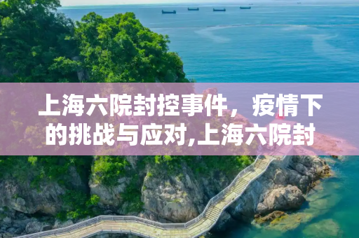 上海六院封控事件，疫情下的挑战与应对,上海六院封了