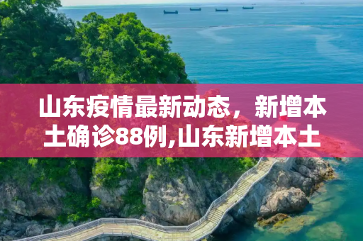 山东疫情最新动态，新增本土确诊88例,山东新增本土确诊88例