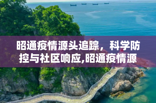 昭通疫情源头追踪，科学防控与社区响应,昭通疫情源头