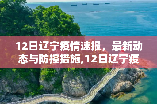 12日辽宁疫情速报，最新动态与防控措施,12日辽宁疫情速报