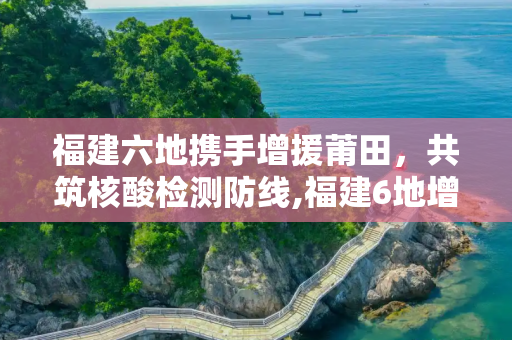 福建六地携手增援莆田，共筑核酸检测防线,福建6地增援莆田核酸检测