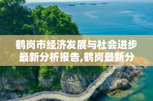 鹤岗市经济发展与社会进步最新分析报告,鹤岗最新分析报告