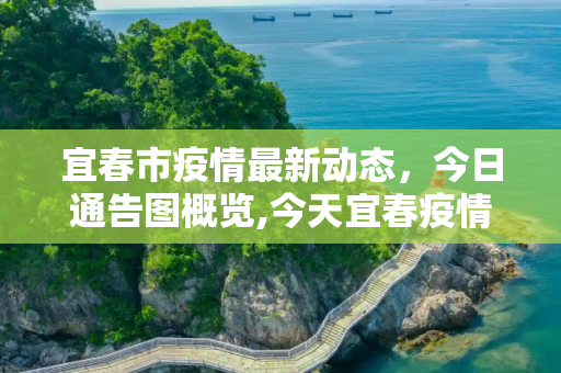 宜春市疫情最新动态，今日通告图概览,今天宜春疫情最新通告图