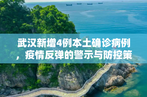 武汉新增4例本土确诊病例，疫情反弹的警示与防控策略,武汉新增4例本土确诊病例