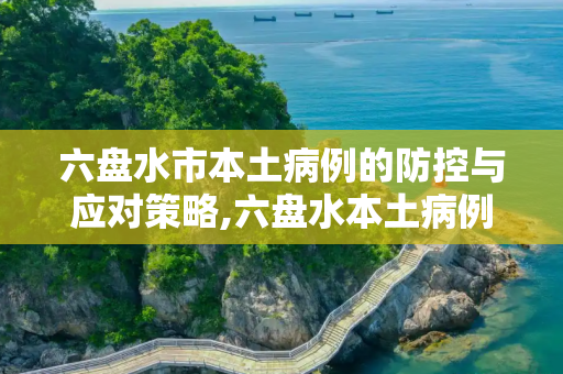 六盘水市本土病例的防控与应对策略,六盘水本土病例