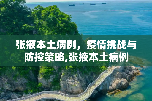 张掖本土病例，疫情挑战与防控策略,张掖本土病例