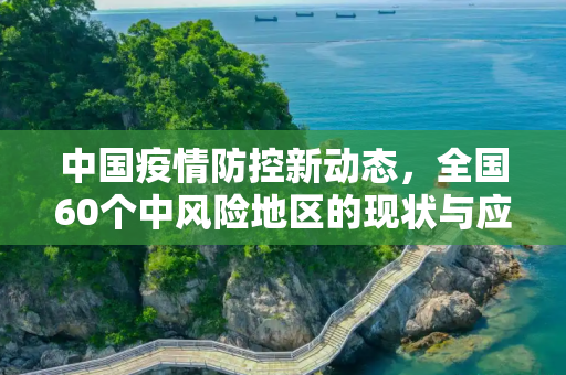 中国疫情防控新动态，全国60个中风险地区的现状与应对,全国共有60个中风险地区