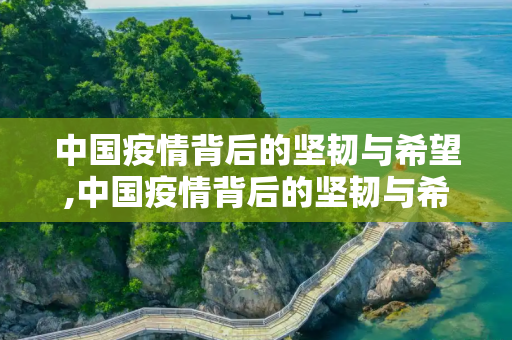中国疫情背后的坚韧与希望,中国疫情背后的坚韧与希望