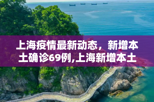 上海疫情最新动态，新增本土确诊69例,上海新增本土确诊69例