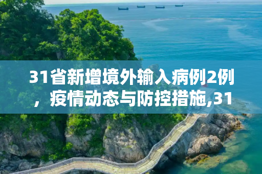 31省新增境外输入病例2例，疫情动态与防控措施,31省新增境外2例