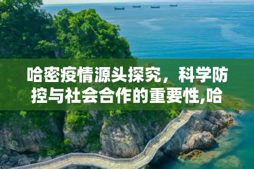 哈密疫情源头探究，科学防控与社会合作的重要性,哈密疫情源头