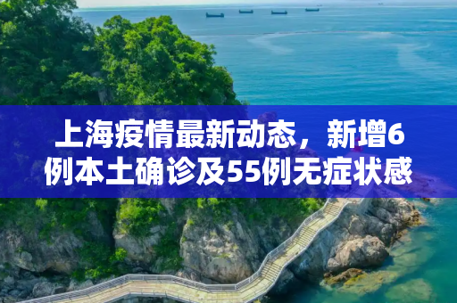 上海疫情最新动态，新增6例本土确诊及55例无症状感染者,上海新增6例本土确诊55例无症状