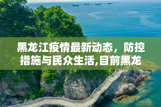 黑龙江疫情最新动态，防控措施与民众生活,目前黑龙江最新疫情