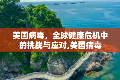 美国病毒，全球健康危机中的挑战与应对,美国病毒