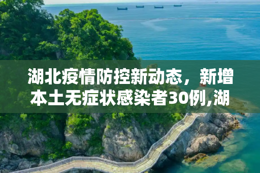 湖北疫情防控新动态，新增本土无症状感染者30例,湖北新增本土无症状30例