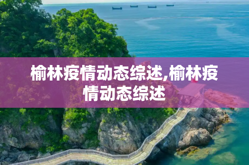 榆林疫情动态综述,榆林疫情动态综述