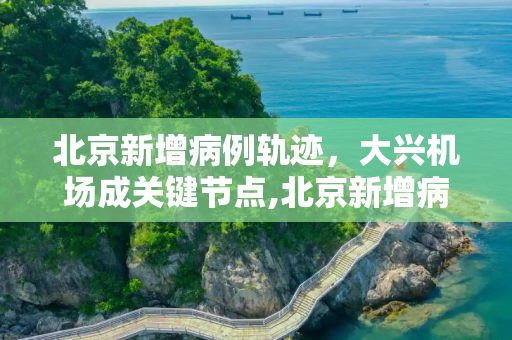 北京新增病例轨迹，大兴机场成关键节点,北京新增病例轨迹:涉及大兴机场