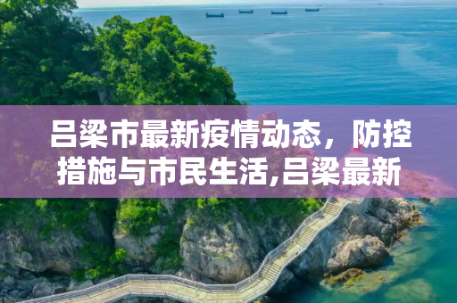 吕梁市最新疫情动态，防控措施与市民生活,吕梁最新疫情情况