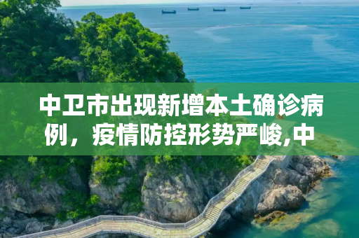 中卫市出现新增本土确诊病例，疫情防控形势严峻,中卫新增本土确诊