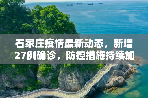 石家庄疫情最新动态，新增27例确诊，防控措施持续加强,石家庄新增27例确诊