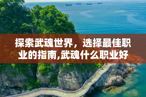探索武魂世界，选择最佳职业的指南,武魂什么职业好