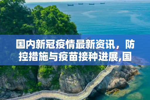 国内新冠疫情最新资讯，防控措施与疫苗接种进展,国内新冠疫情最新资讯