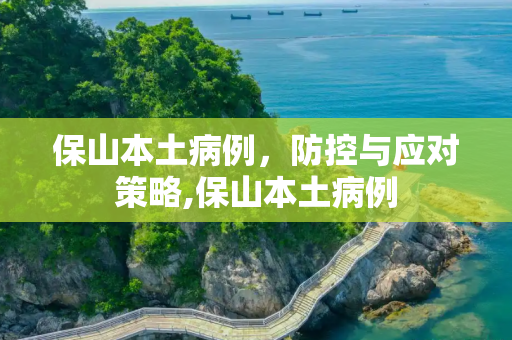 保山本土病例，防控与应对策略,保山本土病例